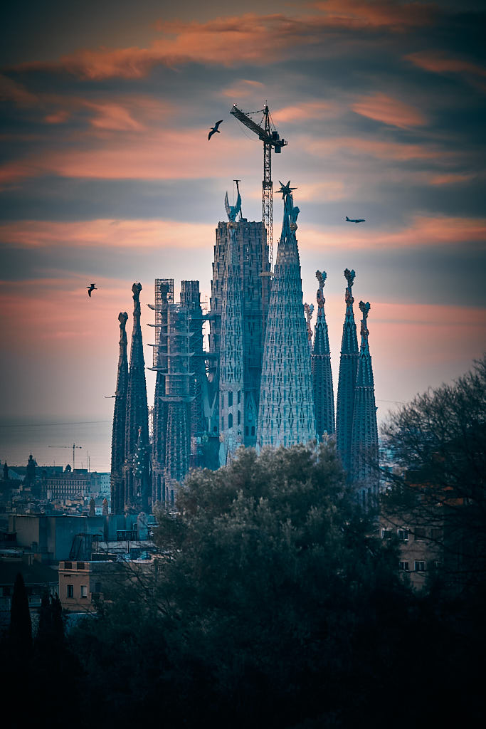 Avions i gavines sobrevolen la Sagrada Família, vista des del barri del Guinardó de Barcelona.